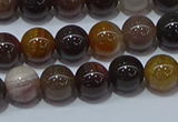 CWJ502 15.5 inches 8mm round Xinjiang wood jasper beads wholesale