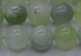 CXJ204 15.5 inches 12mm round New jade beads wholesale