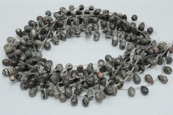 CZJ16 16 inches 8*12mm teardrop zebra jasper gemstone beads wholesale