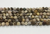 CZJ422 15.5 inches 8mm round Australian zebra jasper beads wholesale