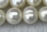 FWP100 15 inches 9mm - 10mm potato white freshwater pearl strands