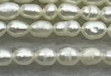 FWP154 14.5 inches 2mm - 3mm rice white freshwater pearl strands