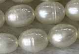 FWP185 15 inches 6mm - 7mm rice white freshwater pearl strands