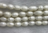 FWP205 15 inches 10mm - 11mm rice white freshwater pearl strands