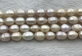 FWP206 15 inches 10mm - 11mm rice white freshwater pearl strands