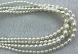 FWP212 15 inches 4mm - 9mm rice white freshwater pearl strands