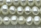 FWP23 14.5 inches 3.2mm - 3.6mm potato white freshwater pearl strands