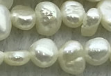 FWP234 14.5 inches 3mm - 4mm baroque white freshwater pearl strands