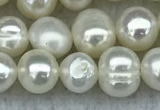 FWP35 14.5 inches 5mm - 6mm potato white freshwater pearl strands