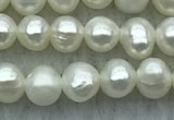 FWP38 14.5 inches 3mm - 4mm potato white freshwater pearl strands