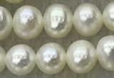 FWP46 14.5 inches 5mm - 6mm potato white freshwater pearl strands