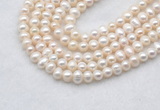 FWP480 14 inches 5mm - 6mm potato white freshwater pearl strands