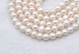 FWP482 14 inches 7mm - 8mm potato white freshwater pearl strands