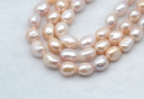 FWP502 14 inches 10mm - 11mm baroque lavender freshwater pearl strands