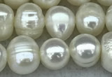 FWP55 15 inches 6mm - 7mm potato white freshwater pearl strands