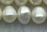 FWP59 15 inches 6mm - 7mm potato white freshwater pearl strands