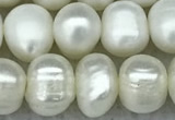 FWP65 15 inches 7mm - 8mm potato white freshwater pearl strands