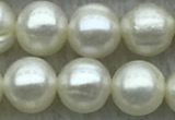 FWP72 15 inches 7mm - 8mm potato white freshwater pearl strands