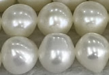 FWP79 15 inches 7mm - 8mm potato white freshwater pearl strands