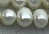 FWP85 15 inches 8mm - 9mm potato white freshwater pearl strands