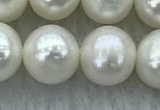 FWP87 15 inches 8mm - 9mm potato white freshwater pearl strands