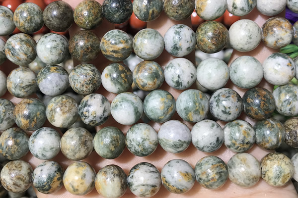 JASP22 15 inches 10mm green dragon quartzite beads