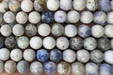 JASP42 15 inches 10mm round hackmanite jasper beads