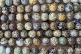 JASP51 15 inches 8mm round purple jasper beads