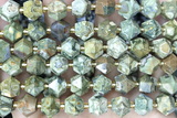 MIXE112 15 inches 10mm faceted rhyolite gemstone beads