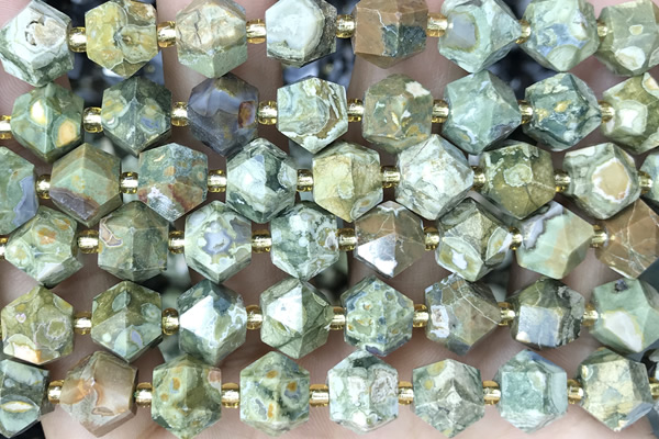 MIXE112 15 inches 10mm faceted rhyolite gemstone beads