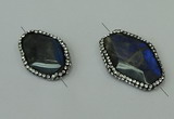 NGC6507 20*30mm - 28*30mm freeform labradorite connectors