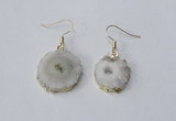 NGE120 8*12mm - 12*16mm freeform druzy agate gemstone earrings