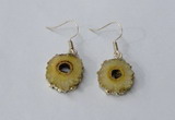 NGE121 8*12mm - 12*16mm freeform druzy agate gemstone earrings