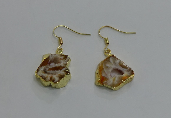 NGE258 13*18mm - 15*20mm freeform druzy agate earrings