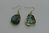 NGE262 13*18mm - 15*20mm freeform druzy agate earrings