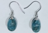 NGE415 10*14mm teardrop apatite earrings wholesale