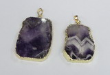 NGP2393 25*35mm - 30*45mm freeform dogtooth amethyst pendants