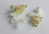 NGP2395 20*40mm - 30*50mm freeform natural coral pendants