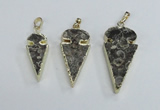 NGP2485 15*30mm - 22*40mm arrowhead ammonite gemstone pendants