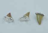 NGP2496 15*18mm - 18*20mm shark teeth pendants wholesale