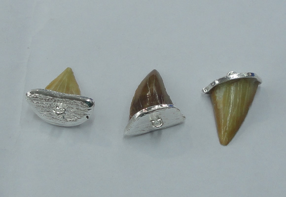 NGP2497 18*20mm - 22*25mm shark teeth pendants wholesale