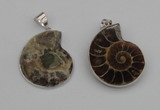 NGP4068 25*30mm – 30*35mm carved ammonite pendants wholesale