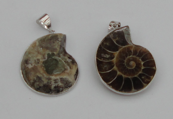 NGP4068 25*30mm – 30*35mm carved ammonite pendants wholesale