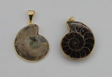 NGP4069 25*30mm – 30*35mm carved ammonite pendants wholesale