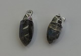 NGP6226 12*28mm - 15*30mm faceted bullet labradorite pendants