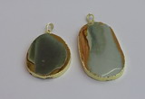 NGP7364 35*45mm - 40*55mm freeform imperial jasper pendants