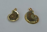 NGP8872 22*26mm - 30*35mm carved ammonite gemstone pendants