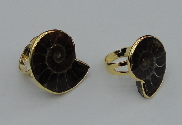 NGR206 25*25mm – 25*30mm carved ammonite rings wholesale