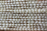 PEAR05 14 inches 3mm – 4mm white freshwater pearl beads