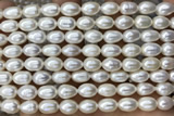 PEAR22 14 inches 7mm – 8mm white freshwater pearl beads